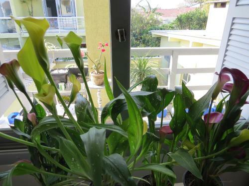 Hostal Residencial E Pousada 663