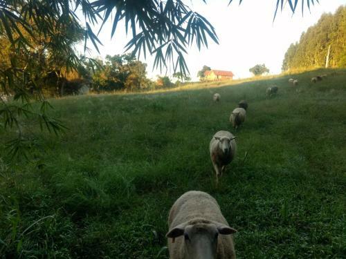 Lodge Morro Do Vento
