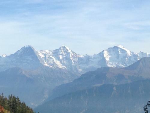 Swiss Seeblick Apartment Mit Hotelanbindung