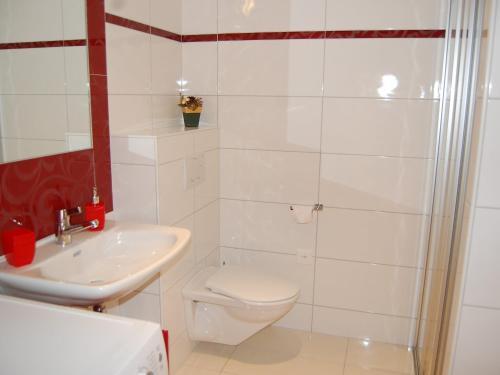 Apartment Cor Des Alpes 15