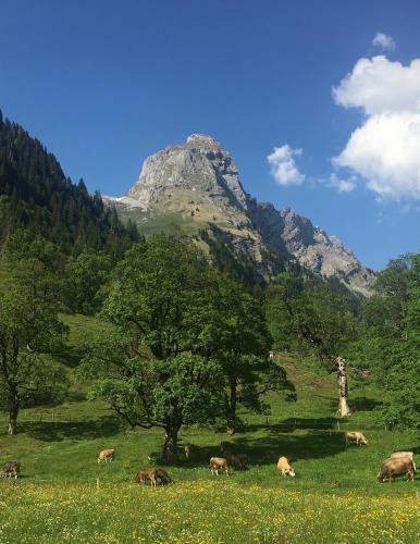 Hotel Gasthaus Richisau Glarus Kl�ntal