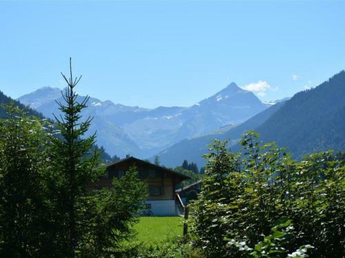 Apartment La Sarine 124