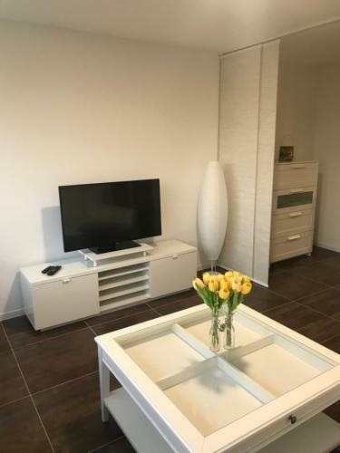 Apartamento Loft De Charme