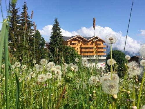 Apartment La Tzoumaz-verbier.4