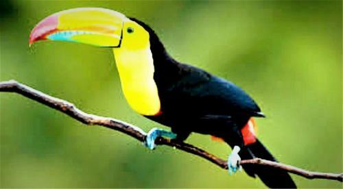 Hotel Lakegardens & Ecotours
