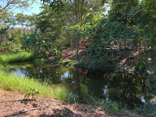 Apartamento Cabinas Alemar