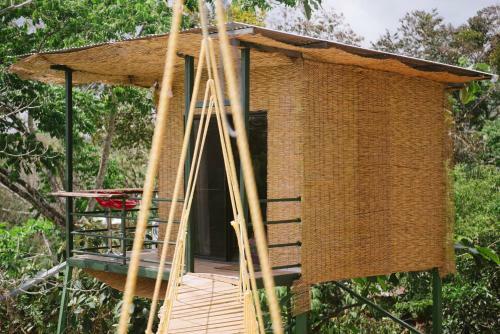 Tarzan Jungle Home Honeymoon Treehouse