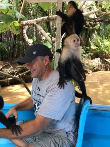 Tarzan Jungle Home Honeymoon Treehouse