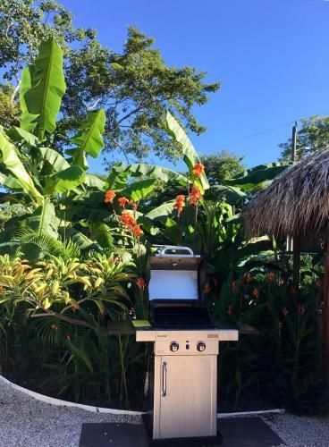 Boutique Hotel Ana
