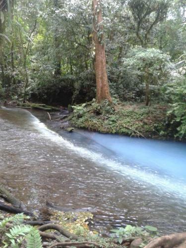 Hotel Sue�oreal Rioceleste