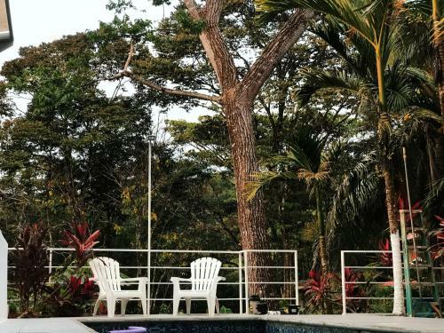 Hotel Boutique Ballena Dorada