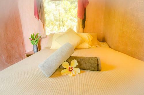 Bed & Breakfast Selva Armonia