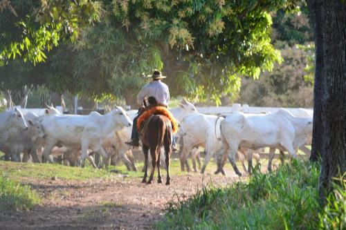Bed & Breakfast Pantanal Ranch Meia Lua