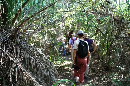 Bed & Breakfast Pantanal Ranch Meia Lua
