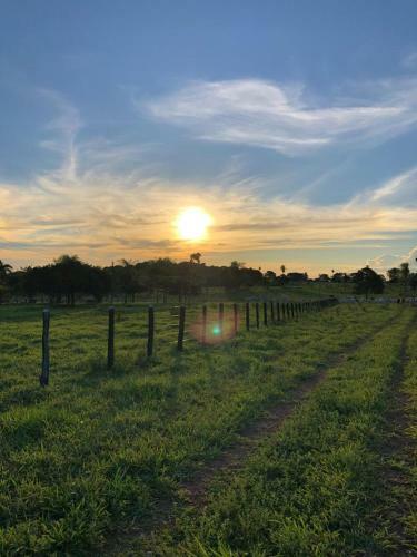 Bed & Breakfast Pantanal Ranch Meia Lua