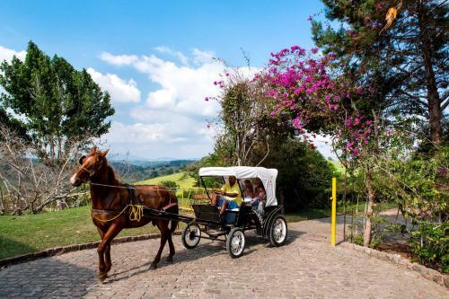 Hostal Fazenda Colibri