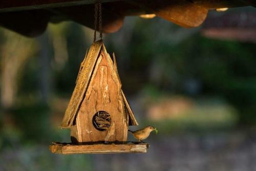 Hostal Fazenda Colibri
