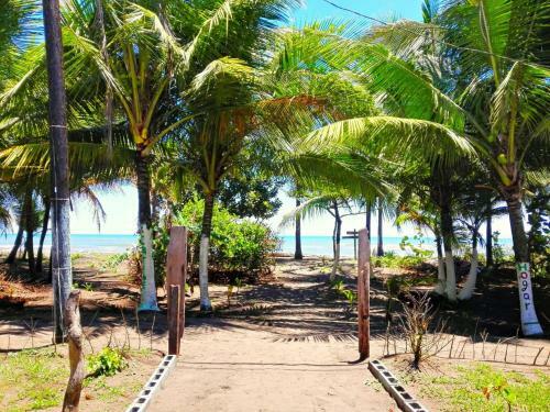 Hostal Casa Turtle Bogue