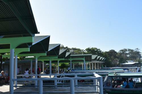 Hostal Casa Turtle Bogue