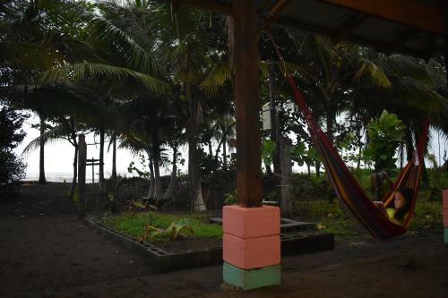 Hostal Casa Turtle Bogue