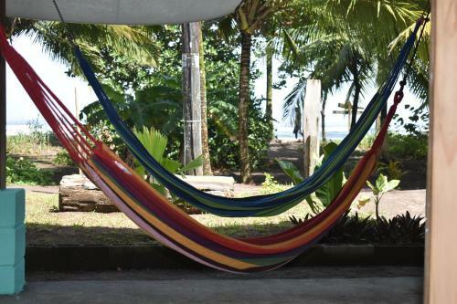 Hostal Casa Turtle Bogue