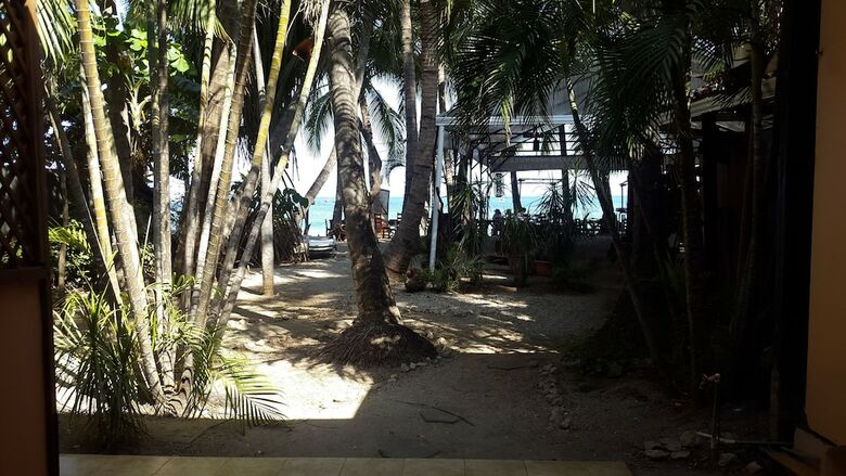 Hotel La Palapa