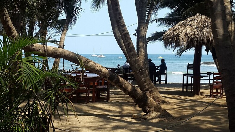 Hotel La Palapa