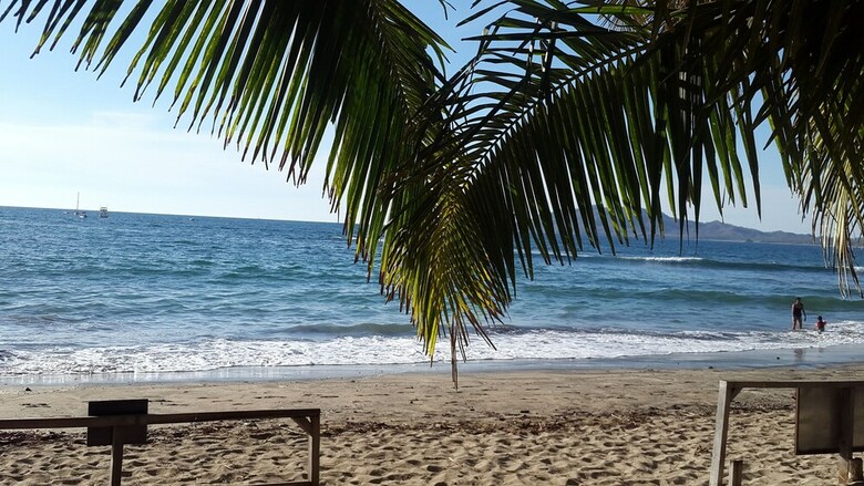 Hotel La Palapa