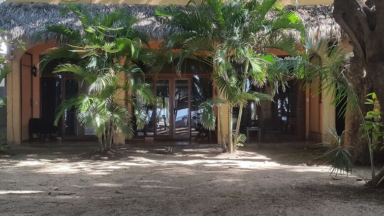 Hotel La Palapa