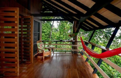 Hotel Tiskita Jungle Lodge