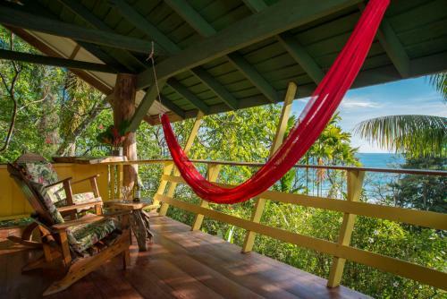 Hotel Tiskita Jungle Lodge