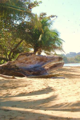 Albergue Cabinas Yemanya