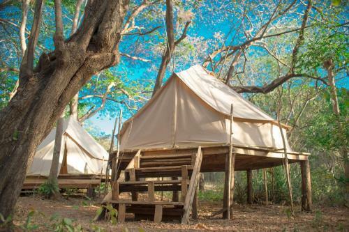 Lodge Surf Camp Dreamsea