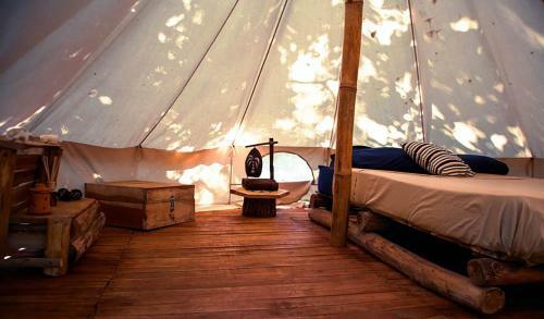 Lodge Surf Camp Dreamsea
