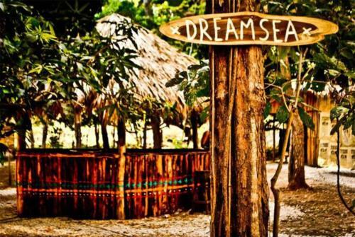 Lodge Surf Camp Dreamsea