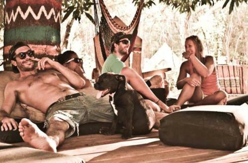Lodge Surf Camp Dreamsea
