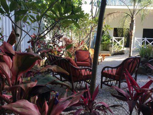 Bed & Breakfast Antema Lodge