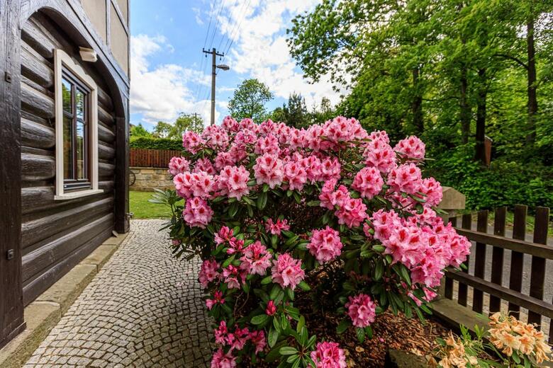 Apartments Jo?�k - Czech Switzerland
