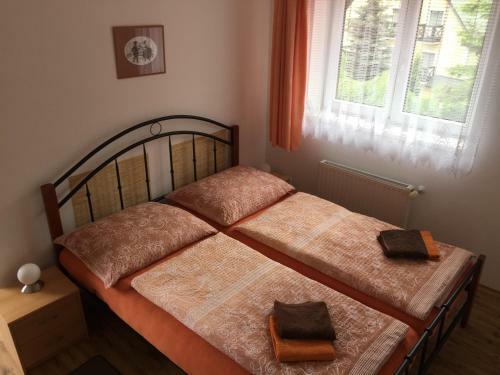 Hostal Penzion Rozkvet