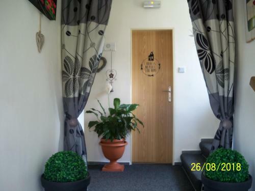 Hostal Penzion IV