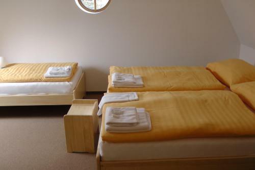 Hostal Penzion Vila Mach?