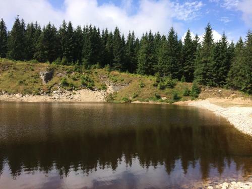 Hostal Penzion Podles�