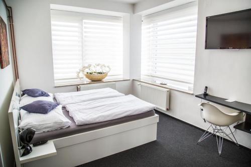 Hotel Orl�k