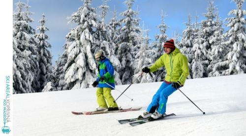 Horsk� Hotel Kop?ivn�