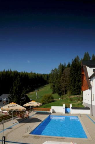 Horsk� Hotel Kop?ivn�
