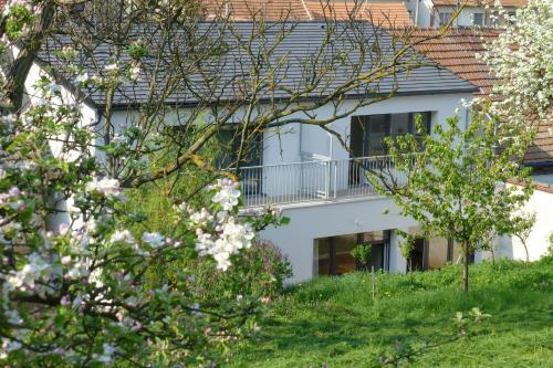 Apartamento Pod Kr�li?�m Vrchem