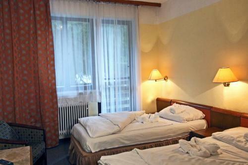 Hotel Medlov Depandance