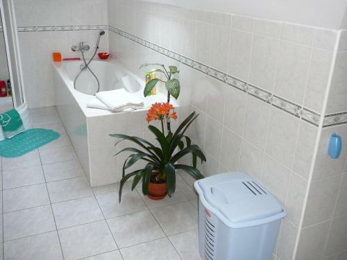 Hostal Apartment V Krkono?�ch