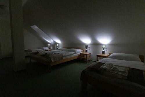 Hostal Penzion U ?�zk?