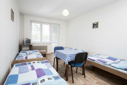 Apartamento Hotelov� D?m T?inec